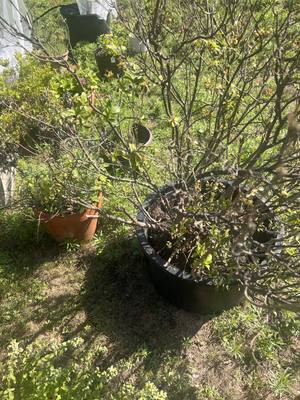 IMG_0457