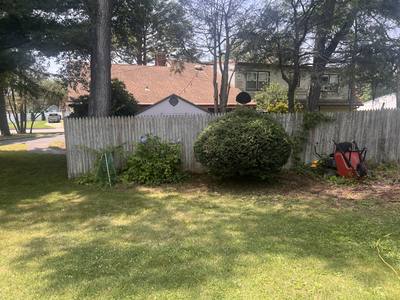 IMG_0752
