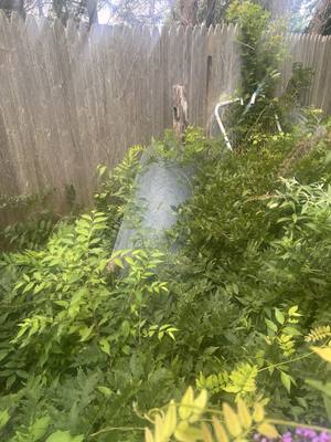 Roll of galvanized hardware cloth mesh on the deck